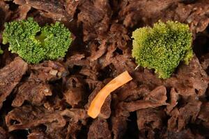 a piece of broccoli and a carrot on a piece of meat photo