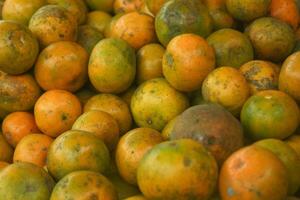 Sweet oranges are piled up in one place to be sold at the market photo