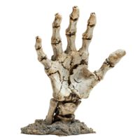 Weathered bone hand protruding from ground with soil and cracks isolated png