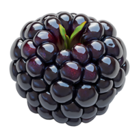Blackberry , flat lay, top view, isolated on transparent background. Fresh blackberries arranged naturally, showcasing vibrant black color and detailed texture. Perfect for food presentations png