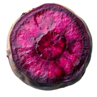 Beetroot slice , top view, flat lay design, isolated on transparent background. Fresh red beet slice with vibrant color and natural texture, perfect for food presentation and healthy recipes png
