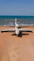 écrasé avion sur sablonneux île rive. médias. concept de avion catastrophe. verticale . video