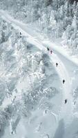 Aerial top down view of hikers walking one by one in winter forest. Clip. Travelers exploring snowy forest. video