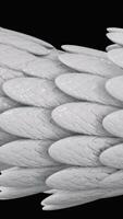 Black and white abstract animation of 3d glossy snake or dragon scales moving smoothly on the black background. Animation. Iridescent glossy scales video