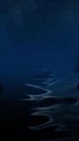 3d render background night coniferous forest. Animation. Beautiful Christmas background with copy space for inserts video