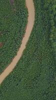 A huge dirty river in the forest. The view from the drone. Clip. A huge curving dirty river with petroleum products that flows next to a huge green forest and several small houses for people are video