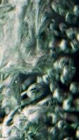 Black background. Shooting underwater. Stock footage. Impulsively moving bubbles of pure water and floating different particles. video