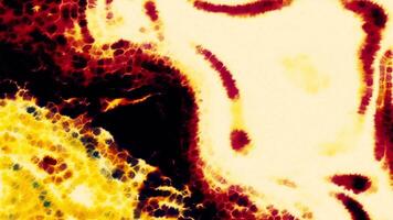 Abstract animation of moving warm energy plasmas. Motion. Curved flows of thermal plasmas. Thermal animation bends of energy video
