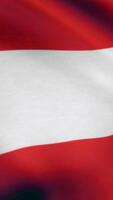 Close up of flag of Austria waving in the wind. Media. Colorful stripes of the Austrian flag. Vertical . video