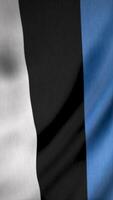 Animation of Estonia flag waving in the wind. Media. Background with rippling flag, concept of independence day. Vertical . video