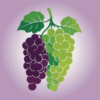 grapes on purple background vector