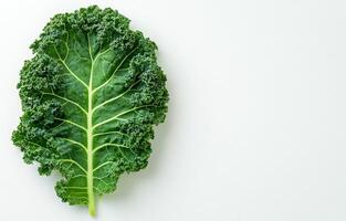 Detailed close-up of a green leaf showcasing intricate vein patterns against a white background photo