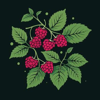raspberry on black background vector