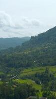 Scenic view of tropical mountain valley. Action. Green rainforests with mountains and rivers. Beautiful view of valley with forests and mountains in cloudy summer weather video