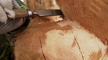 Exploring Craftsmanship in Action The Intricate Wood Sculpting Process Unveiled. Stock Clip video
