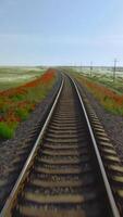 Top view of beautiful railway on background of green field. Shot. Wind farm near beautiful railway in green field. Picturesque railway with red flowers in green field with windmills video