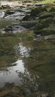Mountain flowing creek stream. Creative. Stony path and flowing river. video