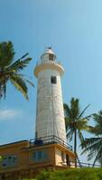 A lighthouse in the middle of a tropical jungle. Action. Green vegetation at summer resort. video