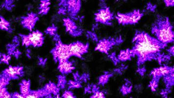 Fantastic patterns of colors and paints. Motion. Spinning abstract curlicues on a dark background. video
