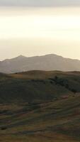 Aerial view of the large green hills, paths and small shrubs with mountain chain on the background at the evening. Shot. Amazing colorful landscape video