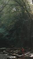 Hikers mother and boy standing in jungles near cold stream. Creative. Lush green forest and river. video