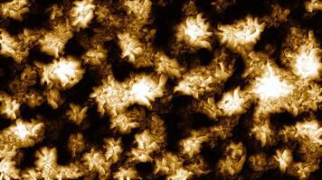 Awesome winter pattern on a frozen window. Motion. Wonderful snowflakes on glass. video