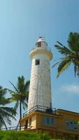 A lighthouse in the middle of a tropical jungle. Action. Green vegetation at summer resort. video