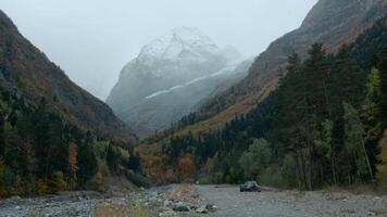 Big high mountains. Creative. Huge hills covered with snow and overgrown with green fir trees and pine trees around video