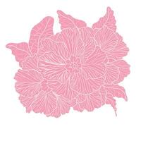 flat design pink flowers with white background vector