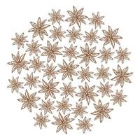 Outline Star Anise Round background texture Herbs and spices day greeting backdrop concept. Template. Isolated illustration Web promo backdrop, cards poster, banner, label, price tag or leaflet vector