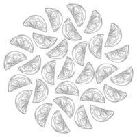 Orange, Lemon or lime slices outline Round background texture in trendy minimalistic style. Isolated illustration Cards, posters, leaflets or web promo backdrop, banner, greeting, label, price vector