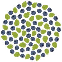 Blueberries and mint green leaves Round background texture in trendy soft hues. Cards backdrop idea. Isolated illustration vector