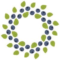 Blueberries or bilberries with green mint leaves Abstract round frame border. Copy space. Template. Isolated illustration Cards, poster, leaflet, brochure, banner, price tag, label or web promo vector