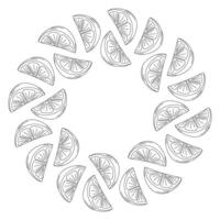 Outline Citrus slices Abstract round frame border in trendy minimalistic style. Template. Copy space. Isolated illustration Cards poster, banner, label, price tag, leaflet or web promo backdrop vector