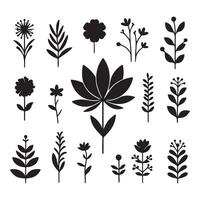 Black and white flowers and leaves set vector