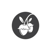 jojoba nuts illustration design vector