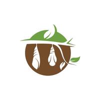 cocoon illustrtion design vector