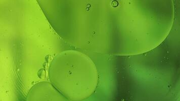 Macro structure of colorful oil bubbles. Chaotic motion. Abstract multicolored background. Pattern video