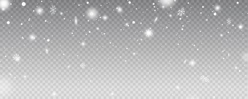 snowflakes on background. Christmas and New Year decoration. Snow flakes, snow background. vector