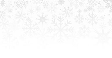 Christmas background with gray to white gradient. Abstract snowflakes background. Winter Snow flake or greeting card. vector