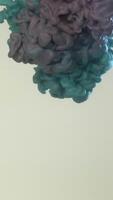 Ink swirling in water. Wave and smoke of different colors on white background. Abstract blue and red smoke on white background video