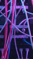 Close-up of many colorful wires in the internet service provider equipment. Action. Data network hardware concept video