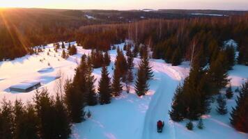 November forest. Clip.A view from a drone with white snow and green fir trees with snowmobiles riding with bright sunlight. video