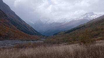 skön se av de grå väder på grund av till höst. handling. stor lång träd av annorlunda färger och bergen och en kall strömmande flod. video