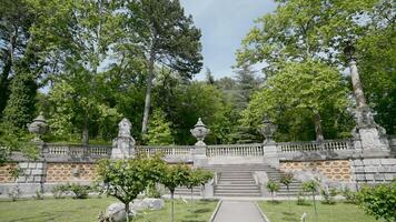 Sunny city green park with stairs and pillars. Action. Magical forest with warm sunbeams illuminating green trees and a narrow path. video