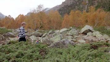 Family hike on rocks on background of autumn trees. Creative. Mother and her sons are walking on rocks in hike in mountain forest. Family hike through dangerous stone places video