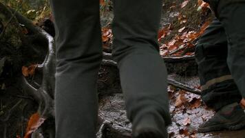 The first snow in the forests. Creative. Tourists walking through the autumn forest covered with white snow and debris of branches. video