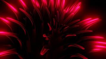 Red neon lights. Design. Black background on which sparkles red spewing lines with light in abstraction. video