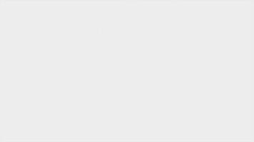 Dynamic movement of colorful lines on white background. Motion. Beautiful simple stripes move at rest for transition. Animated background with moving straight lines on white background video
