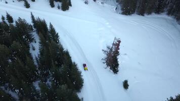 Top view of snowmobile riding in winter forest. Clip. Snowmobile with headlight rides in evening in forest in winter. Snowmobile ride in forest on cloudy winter day video